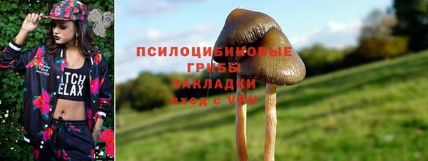 прущие грибы Белоозёрский