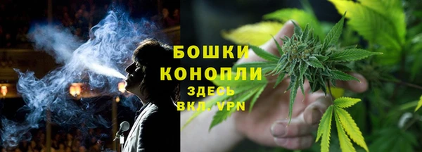 ешки Белокуриха