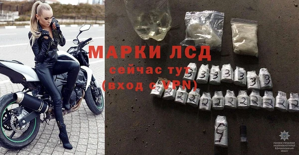 прущие грибы Белоозёрский