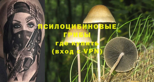 прущие грибы Белоозёрский