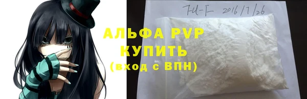ешки Белокуриха