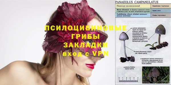 прущие грибы Белоозёрский