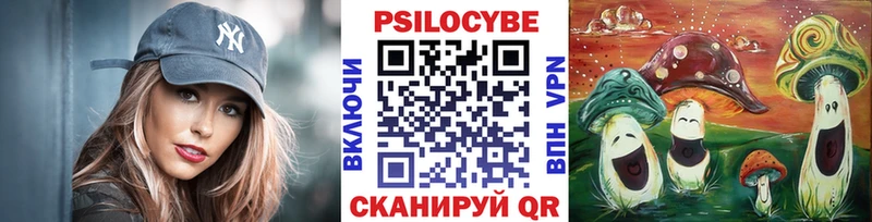 MEGA зеркало  Будённовск  Галлюциногенные грибы прущие грибы 